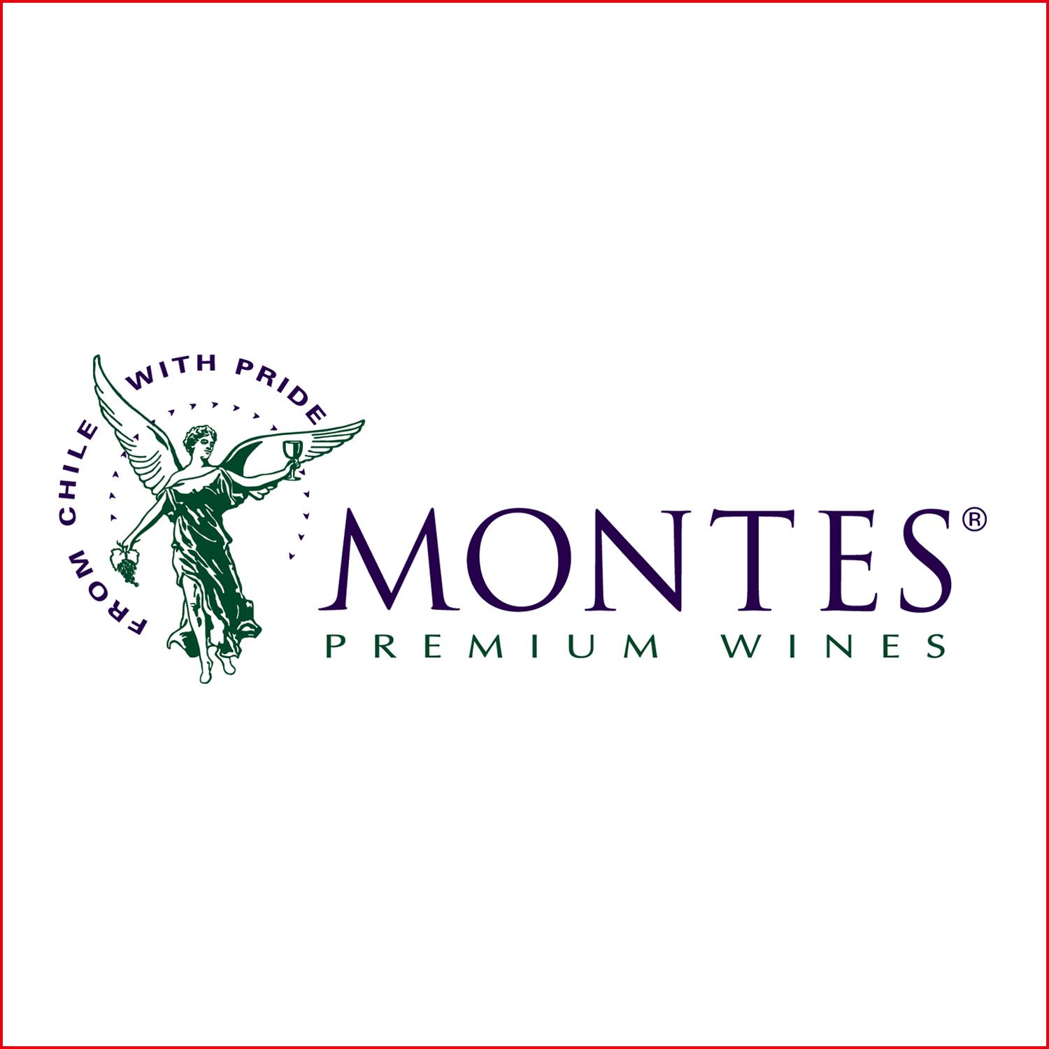 蒙帝斯酒莊 Montes SA