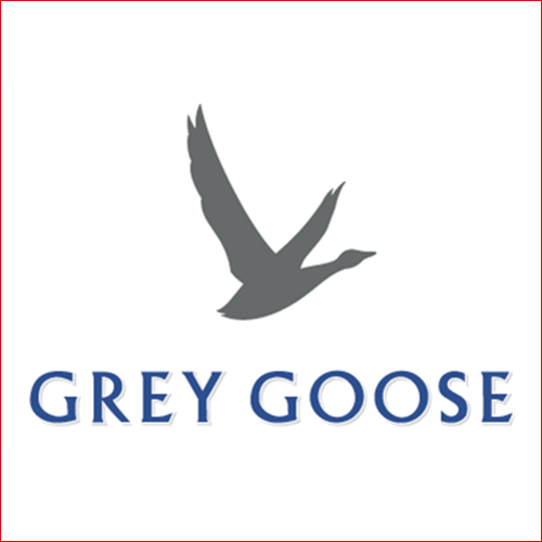 灰雁 Grey Goose